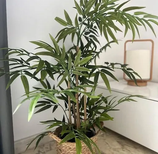 Rent4 Malaga Lyli * Torremolinos